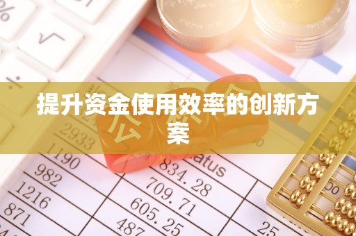 峨边提升资金使用效率的创新方案